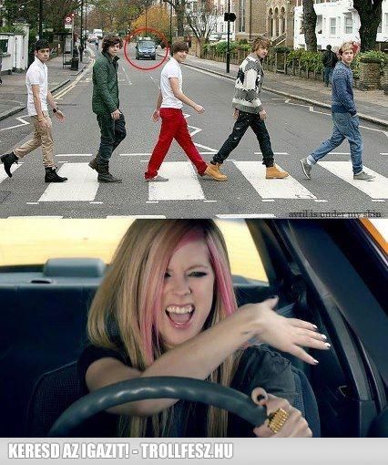 1d.jpg